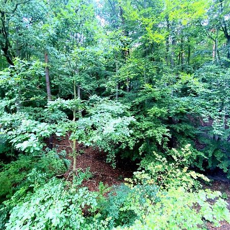 Forest - 23 Marca Sopot By Grand Apartments ภายนอก รูปภาพ